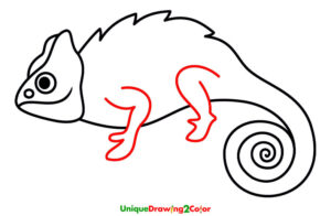 How to Draw a Chameleon Step-7