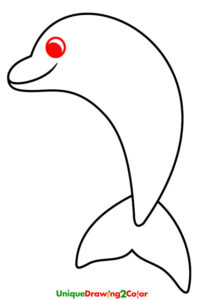 How to Draw a Dolphin Step-5