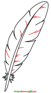 How to Draw a Feather Step 10