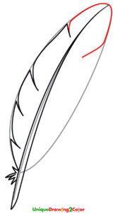 How to Draw a Feather Step 6