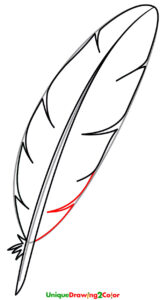 How to Draw a Feather Step 8