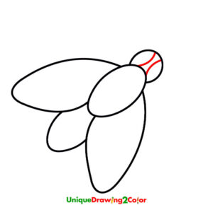 How to Draw a Fly Step 6