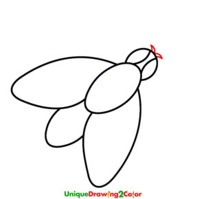 How to Draw a Fly Step 7