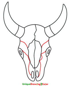 How to Draw a Cow Skull Step-11