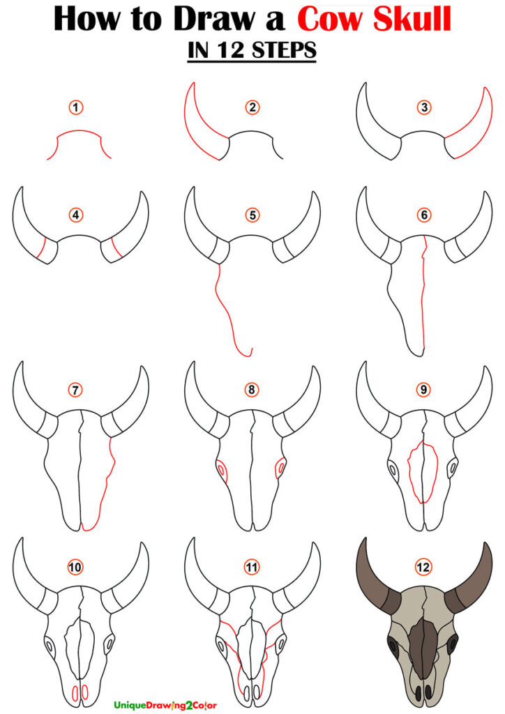 How to Draw a Cow Skull Step by Step