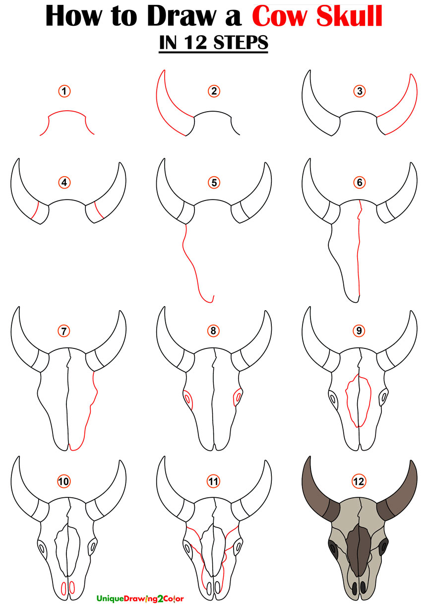 How to Draw a Cow Skull in 12 Easy Steps (with Video Tutorial)