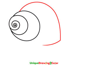 How to Draw a Snail Step 3