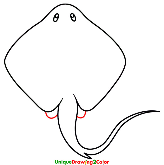 How to Draw a Stingray Step by Step Instructions with Pictures