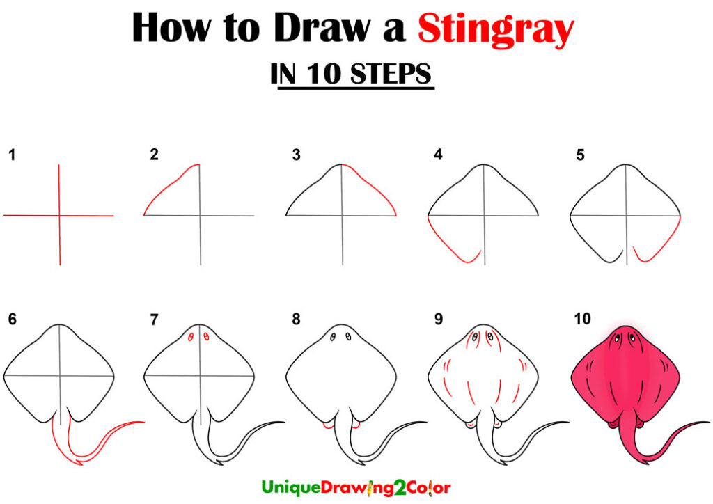 How to Draw a Stingray Step by Step