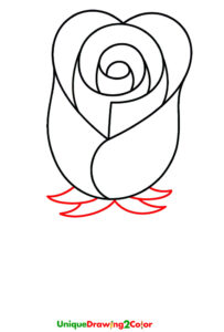 How to Draw a Rose Step 5