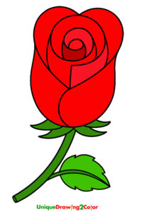How to Draw a Rose Step 8