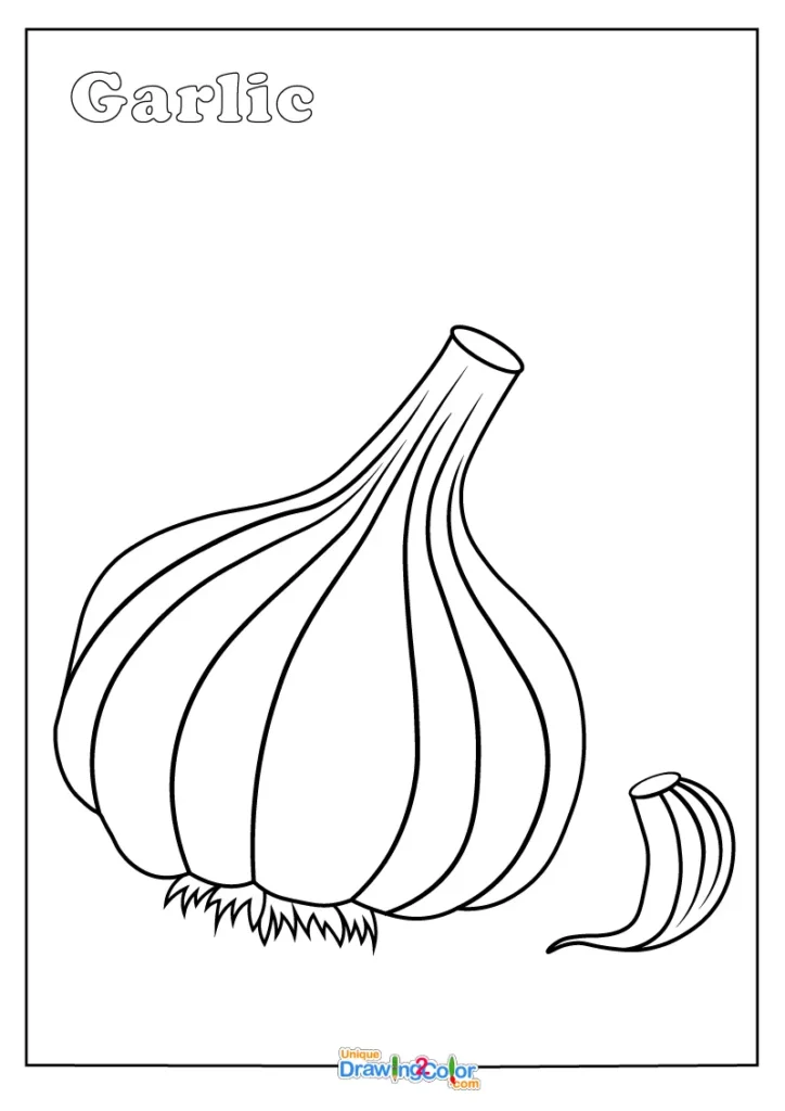 Garlic Coloring Page