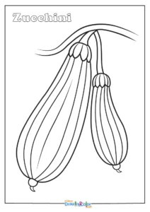 Zucchini Coloring Pages