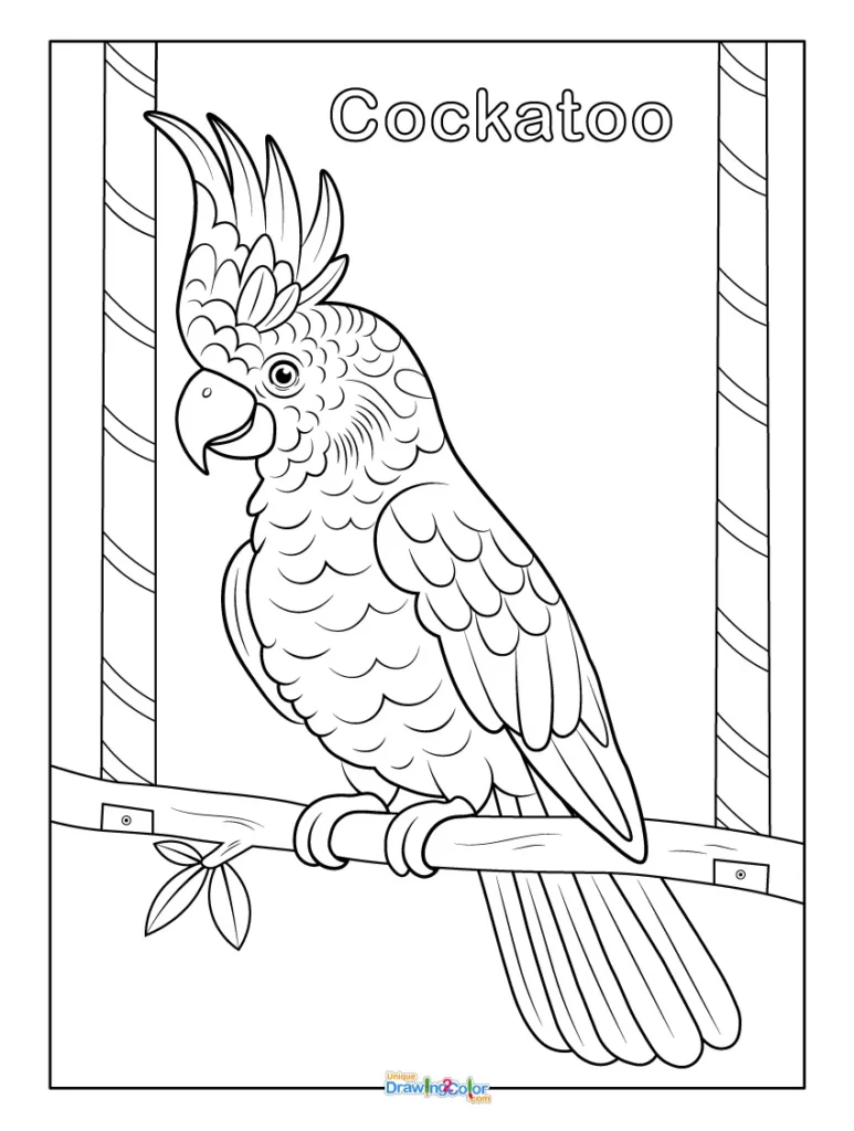 Cockatoo Perched on a Branch Coloring Page