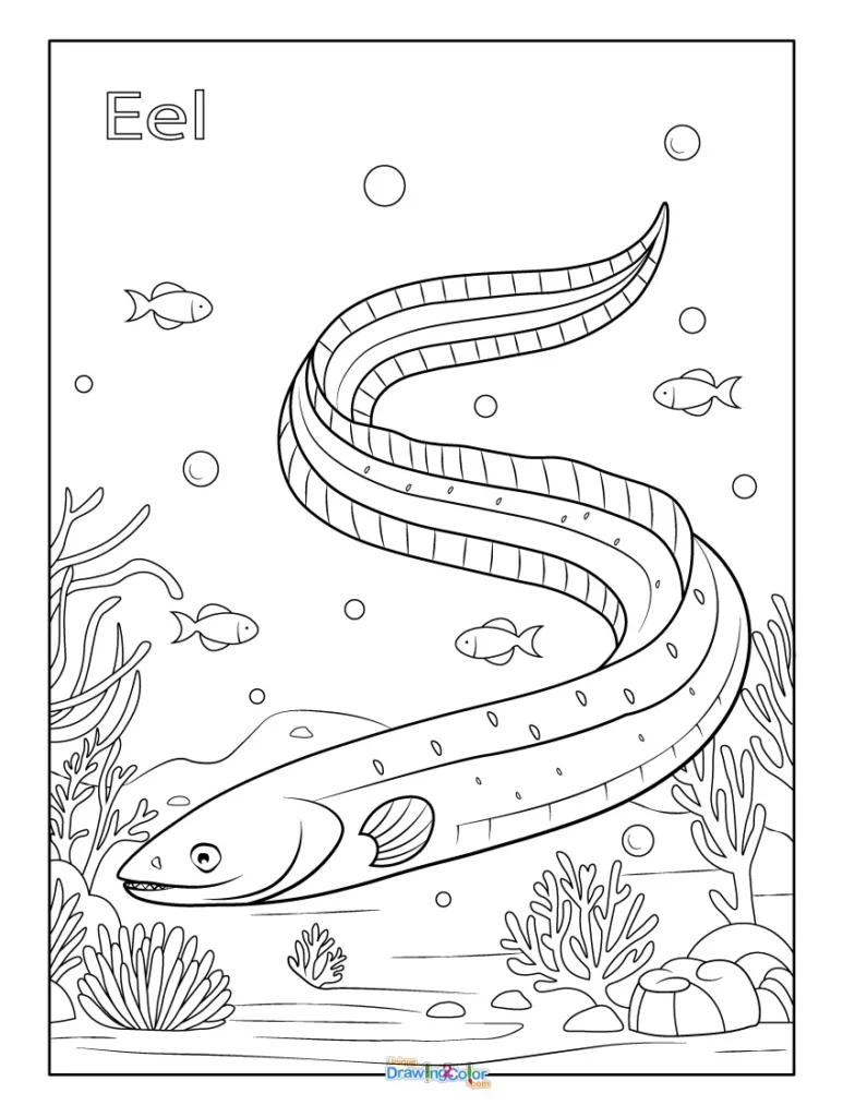 Details Eel Coloring Page