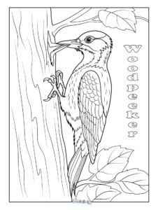 Free Printable Woodpecker Coloring Page