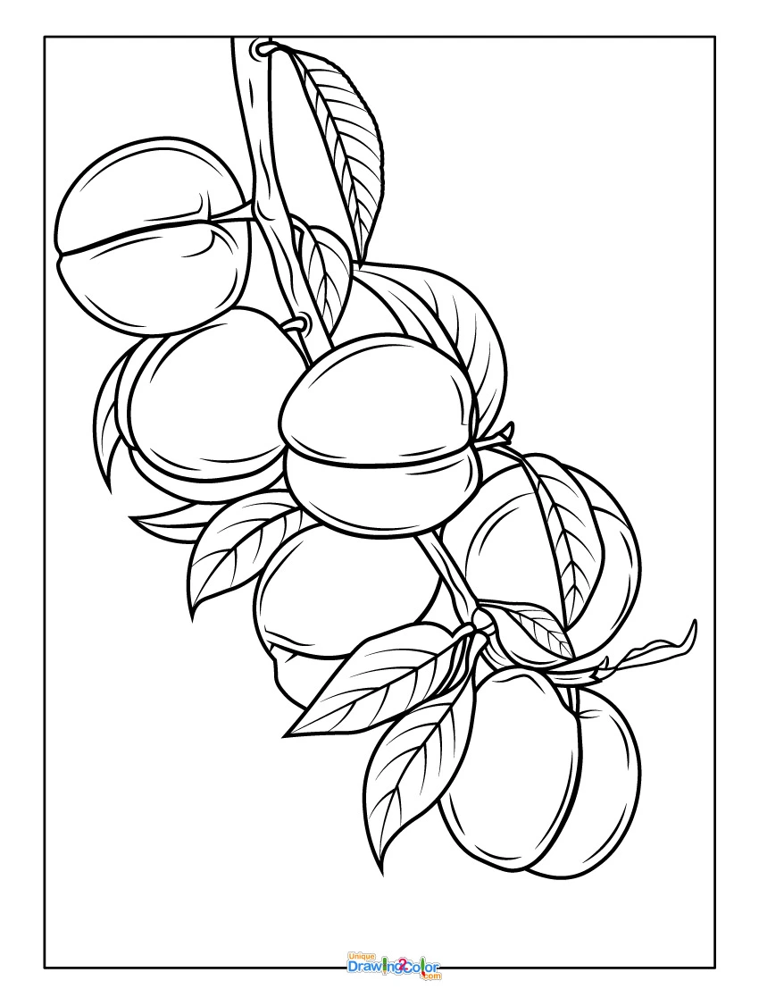 Bunch of Peaches with Leaves Coloring Page