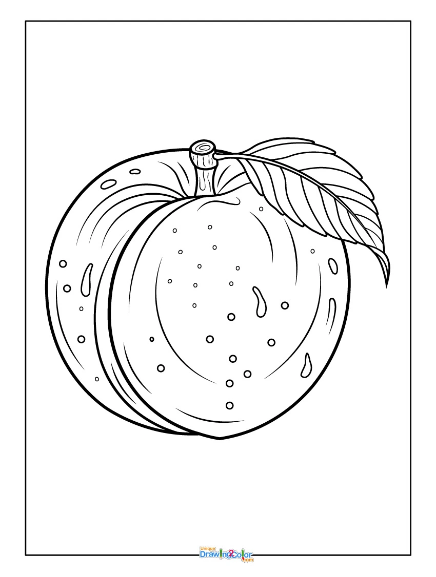 Detailed Peach Coloring Page for Older Kids and Adults