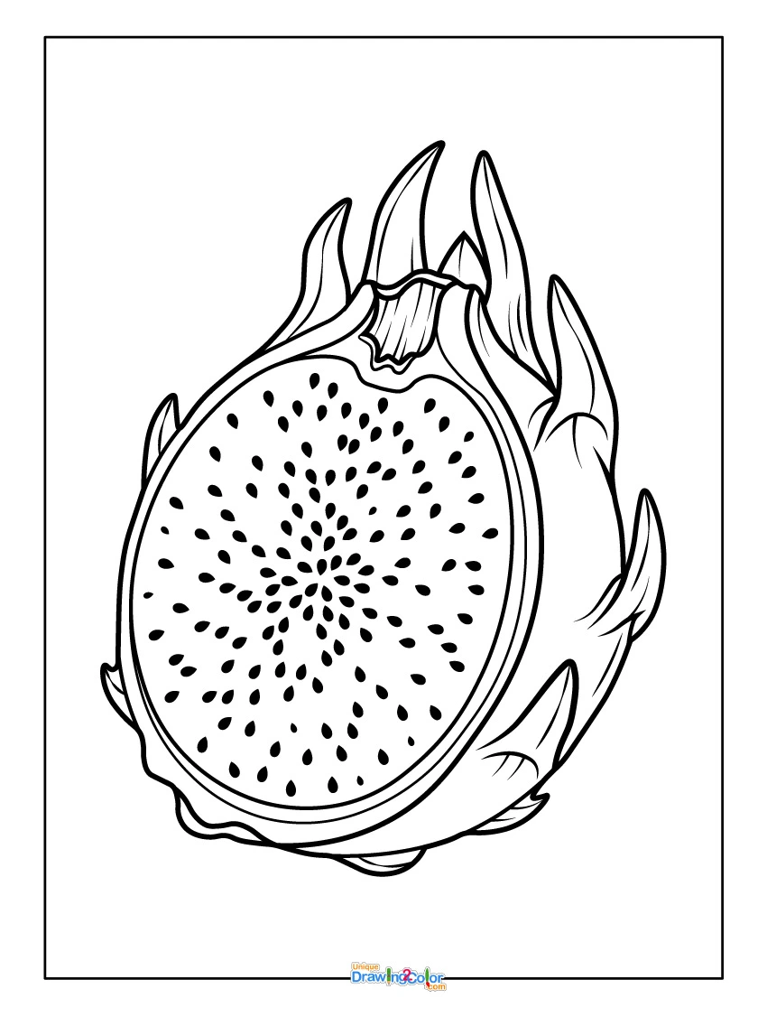 Sliced Dragon Fruit Coloring Pages