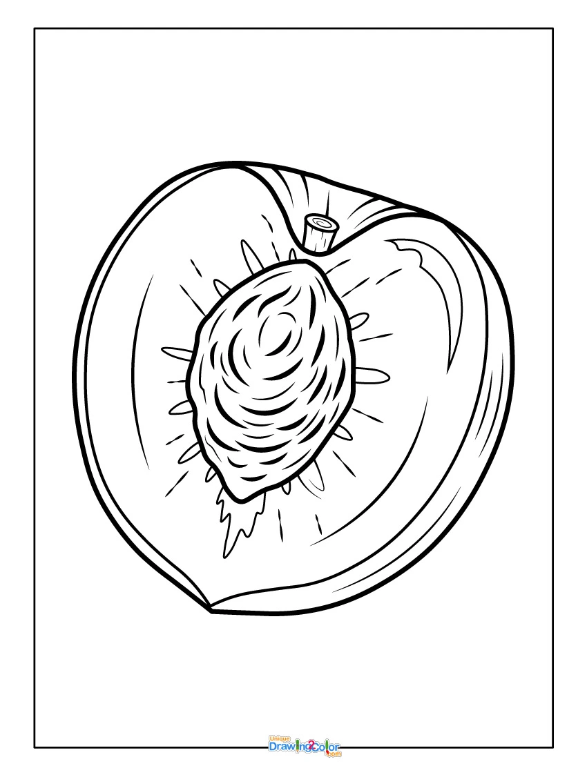 Half Peach Coloring Page Showing Inside Fruit