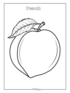 Simple Peach Coloring Page Printable for Kids