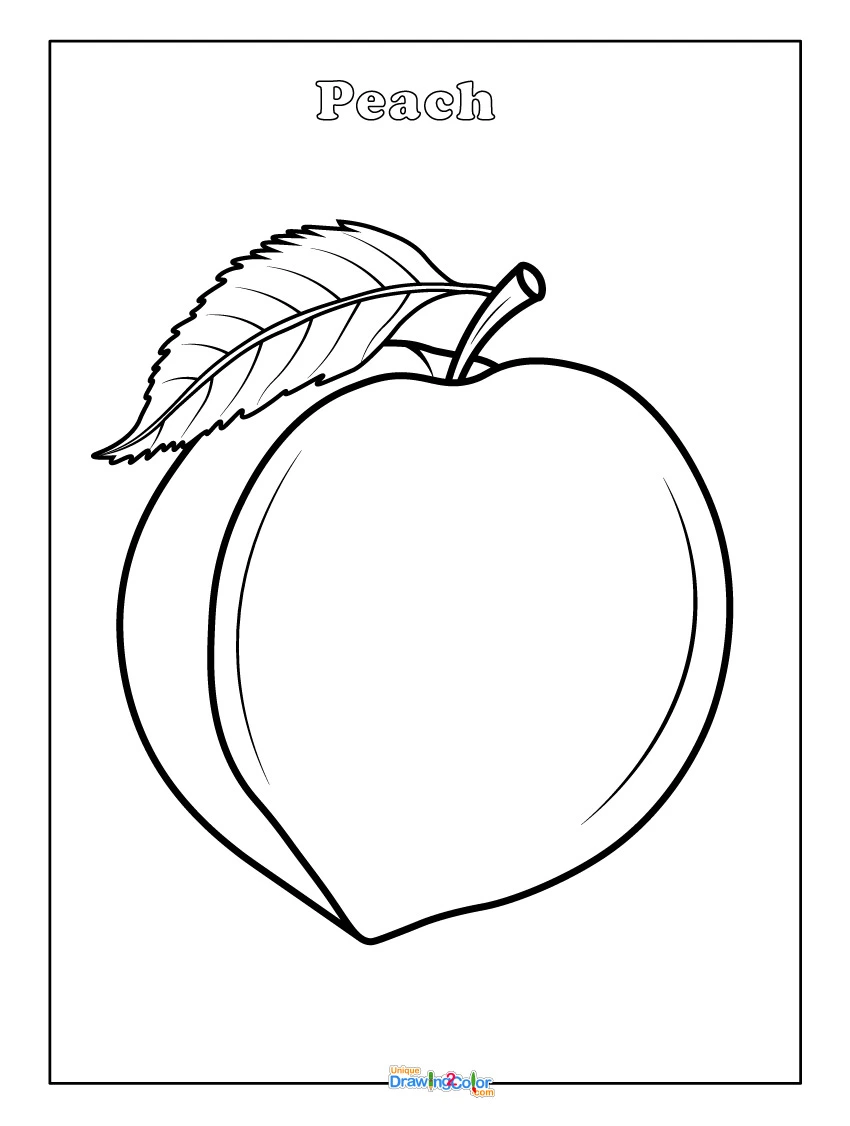 Simple Peach Coloring Page Printable for Kids