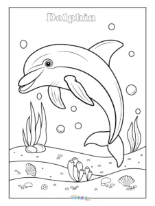 Dolphin Coloring Pages