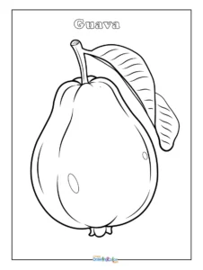 Simple Guava Coloring Sheet for Kids