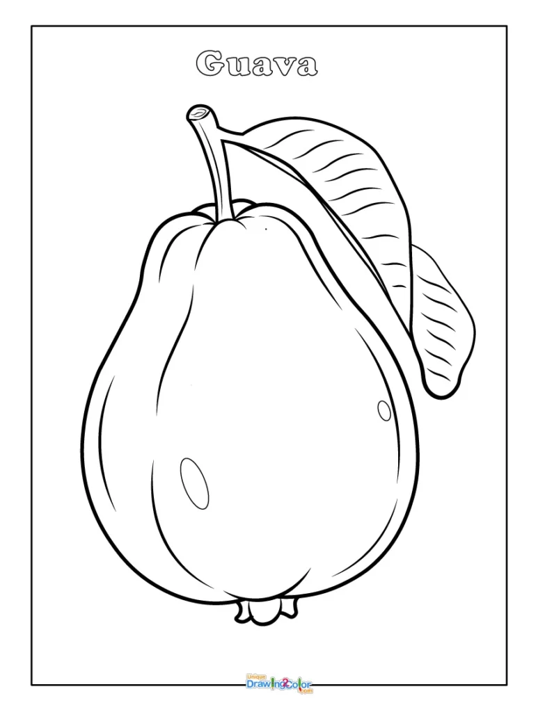 Simple Guava Coloring Sheet for Kids