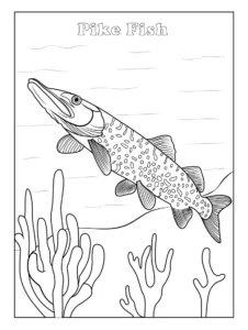 Pike Coloring Pages