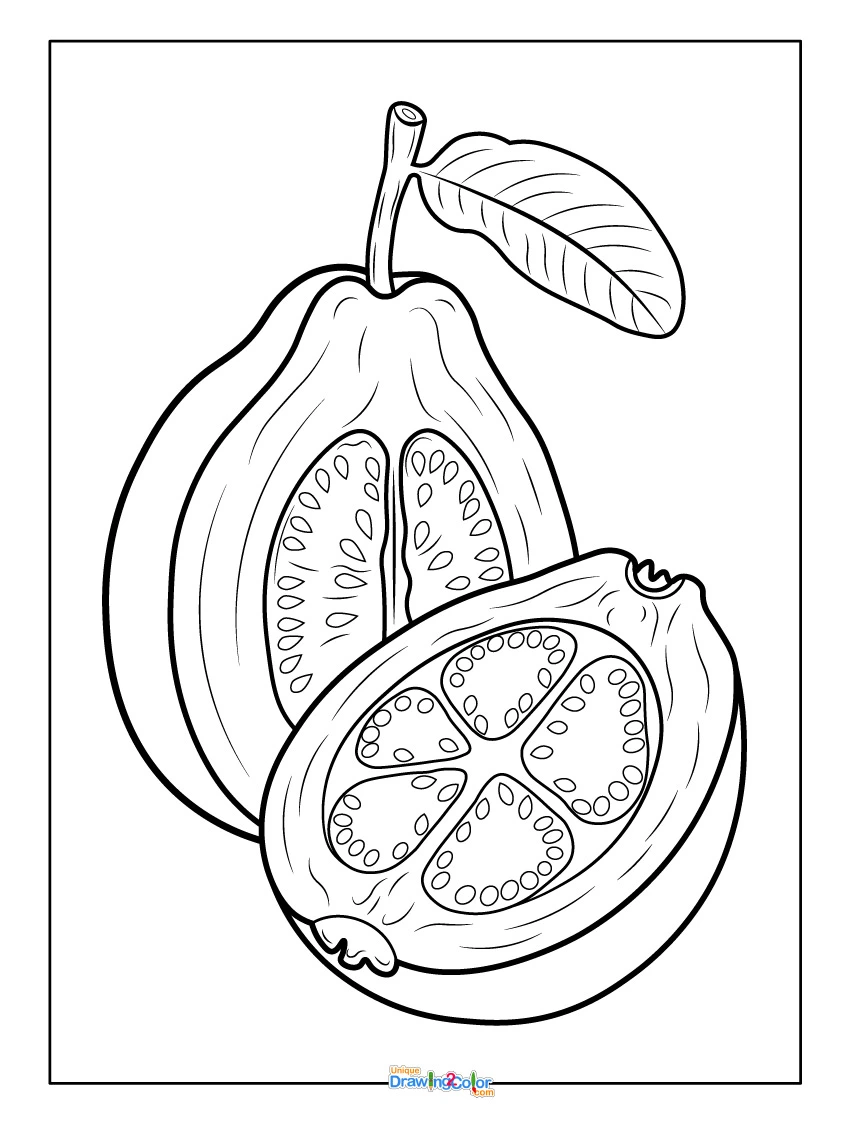 Detailed Guava Coloring Page Showing Whole and Sliced Fruit